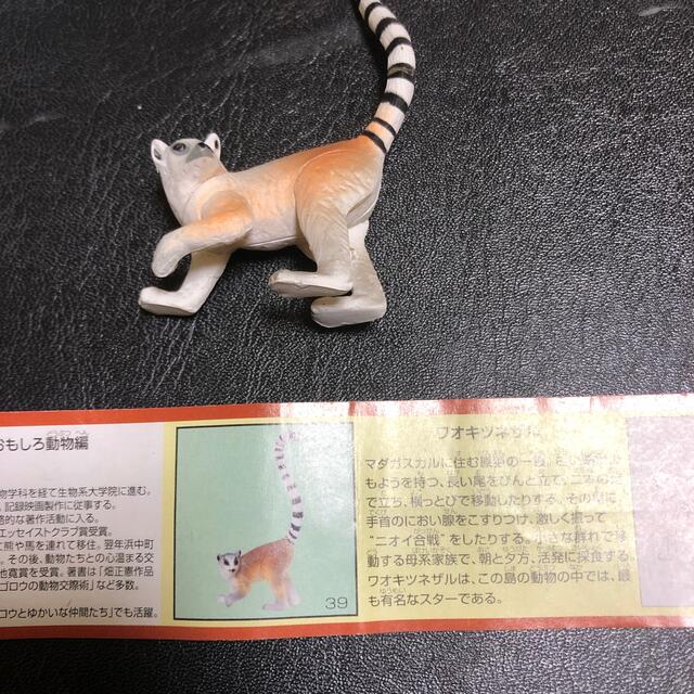 フルタ製菓(フルタセイカ)のワオキツネザル エンタメ/ホビーのフィギュア(その他)の商品写真