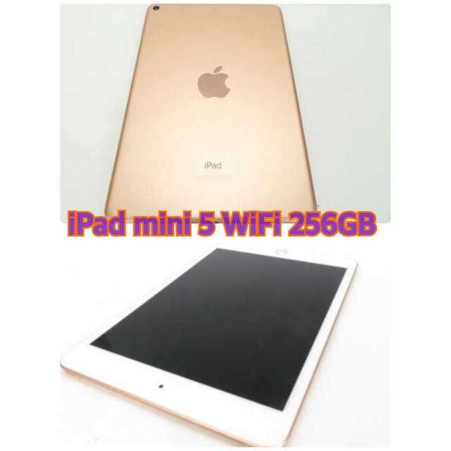 【美品】iPad mini5第5世代 Wi-Fi 256GB