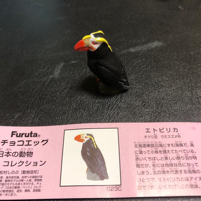当店限定販売 エトピリカ ストラップ dinogrip.com