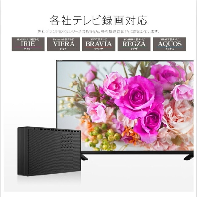 外付けハードディスク 500GB スマホ/家電/カメラのテレビ/映像機器(その他)の商品写真