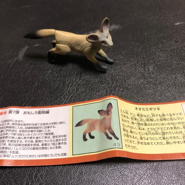 フルタ製菓(フルタセイカ)のオオミミギツネ エンタメ/ホビーのフィギュア(その他)の商品写真