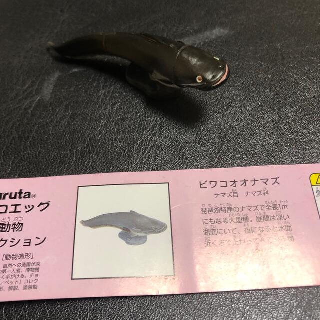 フルタ製菓(フルタセイカ)のビワコオオナマズ エンタメ/ホビーのフィギュア(その他)の商品写真