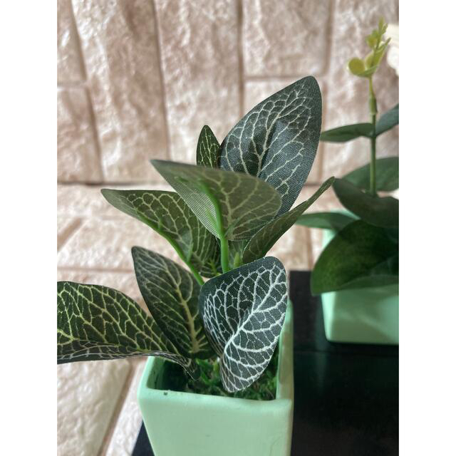 光触媒 人工観葉植物 ウォールグリーン フェイク アレンジ 5種gの通販 By 太郎 ラクマ 光触媒 人工観葉植物 ウォールグリーン フェイク アレンジ 5種gの通販 By 太郎 ラクマ