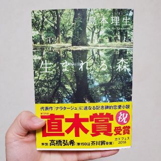 カドカワショテン(角川書店)の生まれる森(その他)