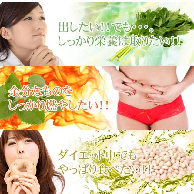 明日葉＆コレウスフォルスコリ＆白いんげん豆エキス 約1ヵ月分 ダイエット 美容 コスメ/美容のダイエット(ダイエット食品)の商品写真