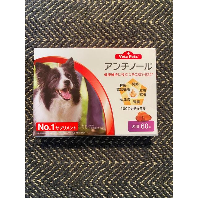 その他犬用アンチノール60粒入り　20箱