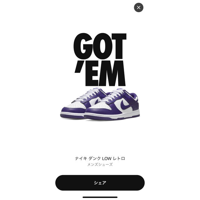 Nike Dunk Low Championship Court Purple