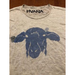 HVANA - 【貴重❗️】ハバナ カシミヤ100% 薄手ニット Mサイズの
