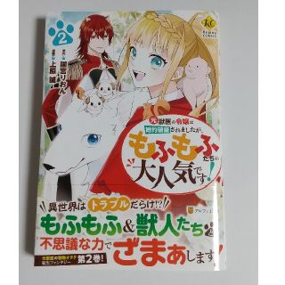 元獣医の令嬢は婚約破棄されましたが、もふもふたちに大人気です！ ２(その他)