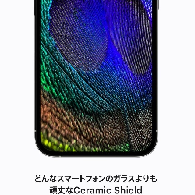 iPhone(アイフォーン)のiPhone13プロ本体 スマホ/家電/カメラのスマートフォン/携帯電話(スマートフォン本体)の商品写真