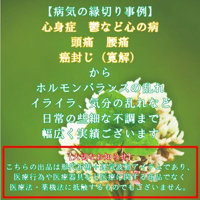 【直筆名入れ祈祷】病気平癒 縁切り縁結び強力形代 お守り★健康・悩み・ダイエット 1