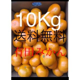 和歌山県 訳あり傷あり有田みかん約10Kg (フルーツ)