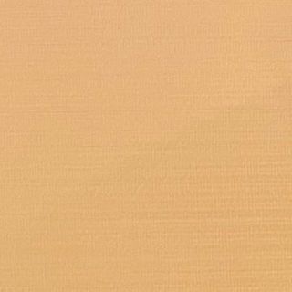 モト様　専用(車体)