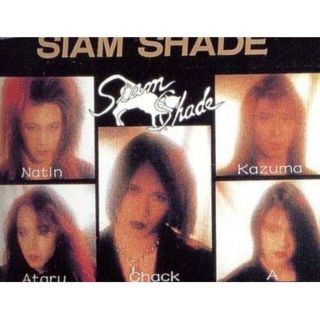海外並行輸入正規品 SHADE SIAM シャムシェイド 横版 2 デモテープ
