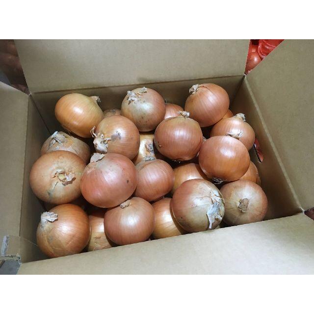 北海道産　タマネギ　Ｌサイズ　10kg　農家直送 食品/飲料/酒の食品(野菜)の商品写真