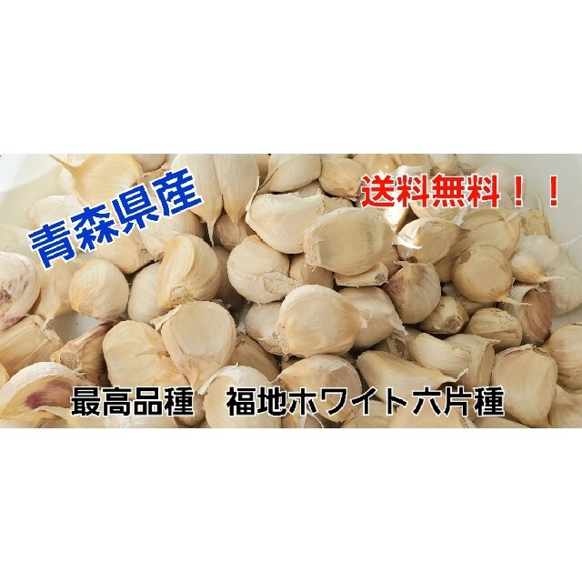 青森県産　ホワイト六片種　500g 食品/飲料/酒の食品(野菜)の商品写真