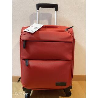 【国内線持込みサイズ】スーツケース　キャリー　18L(スーツケース/キャリーバッグ)