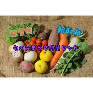 〈宅急便コンパクト〉能登産　無農薬　旬のおまかせ野菜セット　(野菜)