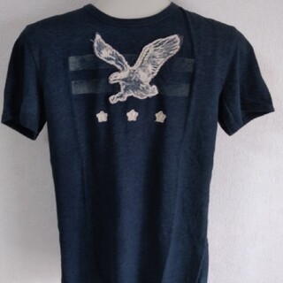 アメリカンイーグル(American Eagle)のビンテージTｼｬﾂ　Americaneagle(Tシャツ/カットソー(半袖/袖なし))