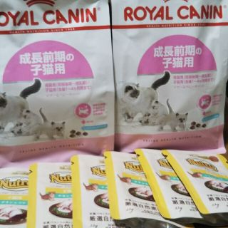 ロイヤルカナン(ROYAL CANIN)のロイヤルカナン成長前期子猫用+ニュートロデイリーディッシュ(ペットフード)