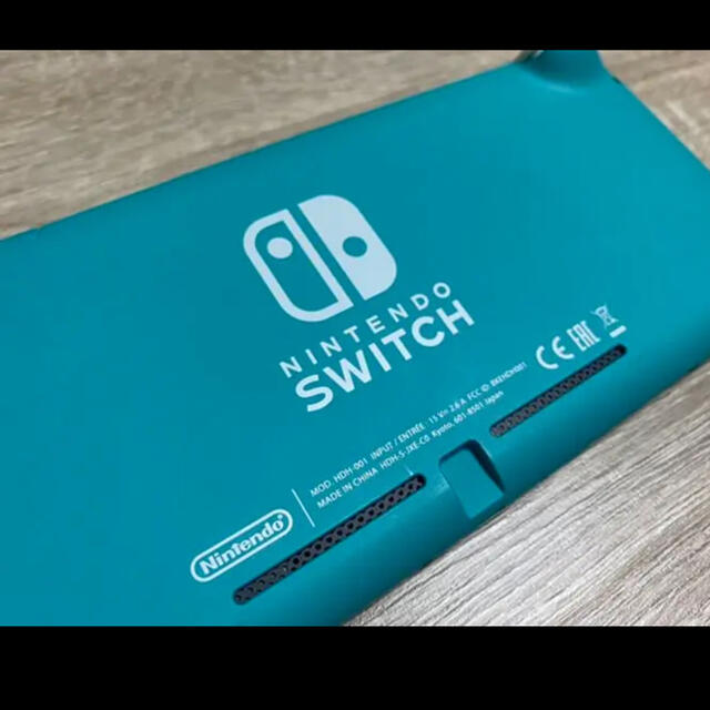 Nintendo switch light 本体 1