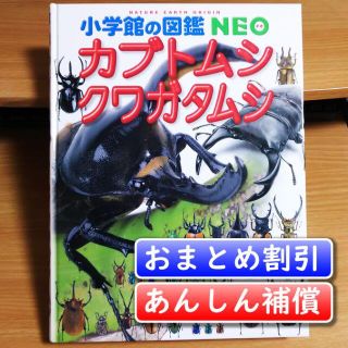 小学館の図鑑NEO　カブトムシ・クワガタムシ／小池 啓一【あんしん補償】(絵本/児童書)