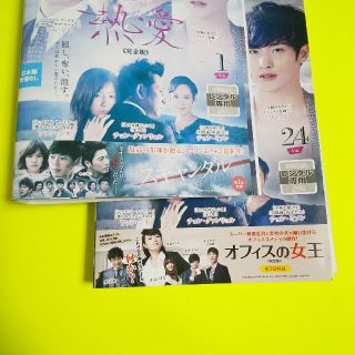 【韓国ドラマ】DVD★熱愛(完全版) ★全話★レンタル落ち★チョン・グァンリョル