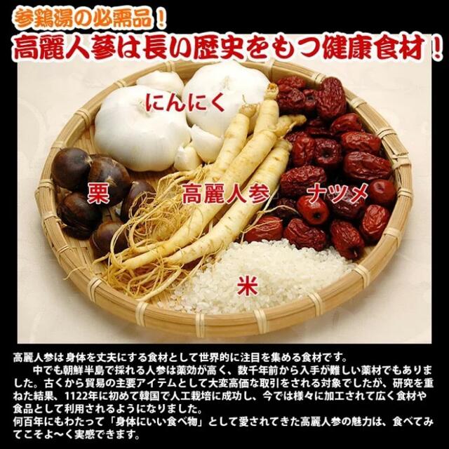 参鶏湯　5袋セット 食品/飲料/酒の加工食品(レトルト食品)の商品写真