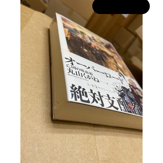 クマパック 角川書店 オーバーロード特典小説 亡国の吸血姫の通販 By んまい カドカワショテンならラクマ カテゴリ