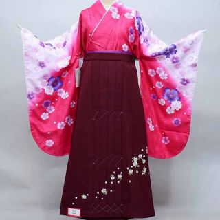 二尺袖 着物 袴フルセット 絵羽柄 ショート丈 袴変更可能 NO36188