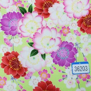二尺袖 着物 袴フルセット 絵羽柄 ショート丈 袴変更可能 NO36188