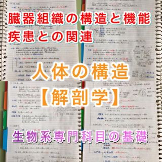 薬剤師国家試験、CBT、薬学部定期試験対策シリーズ【解剖学】まとめノート(資格/検定)