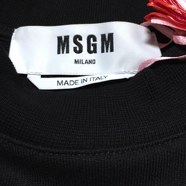 MSGM(エムエスジイエム)の新品 MSGM ねこ ロゴ 長袖 スウェットシャツ 猫 ネコ レディースのトップス(トレーナー/スウェット)の商品写真