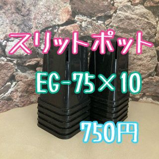 10個◎ロング スリットポット EG-75L slitpot スリット鉢(プランター)