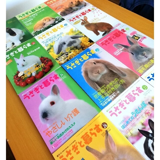 お値段変更〖美品〗　　　　　　うさぎと暮らす 　14冊 エンタメ/ホビーの雑誌(その他)の商品写真