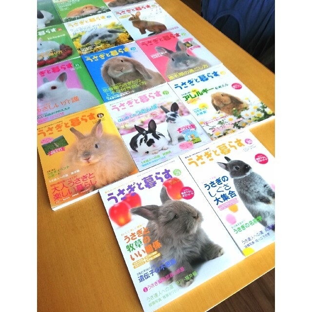 お値段変更〖美品〗　　　　　　うさぎと暮らす 　14冊 エンタメ/ホビーの雑誌(その他)の商品写真