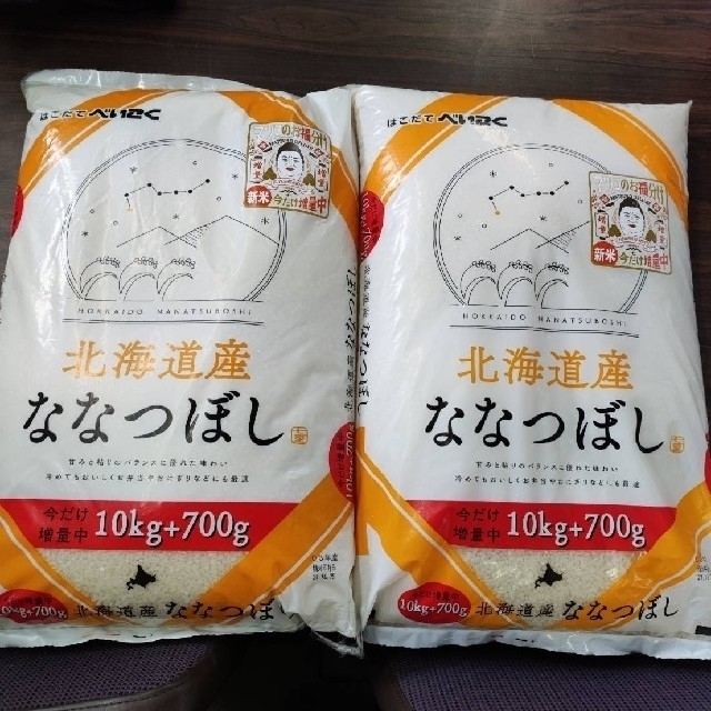 北海道産米 ななつぼし10kg☓2の20kg米/穀物