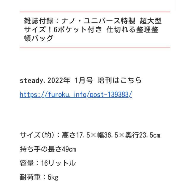 nano・universe(ナノユニバース)のsteady ステディ 1月号 付録　整理整頓バッグ インテリア/住まい/日用品のインテリア小物(小物入れ)の商品写真