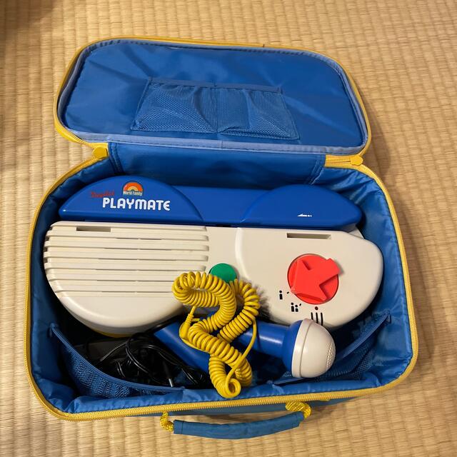 プレイメイトケース付値下げ中-