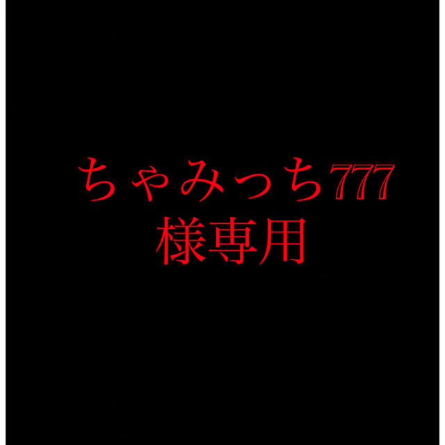 ちゃみっち777様専用 エンタメ/ホビーのフィギュア(アニメ/ゲーム)の商品写真