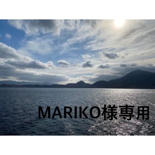 イシヤセイカ(石屋製菓)のMARIKO様専用(菓子/デザート)