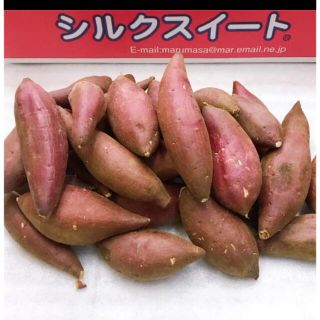 ☆蜜芋☆ 茨城県産　シルクスイート　2Sサイズ(野菜)