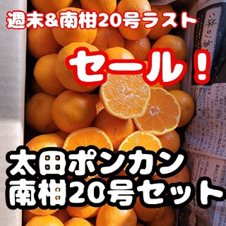 愛媛県産　南柑20号みかん　太田ポンカン　セット　箱込み約 5㎏　柑橘　ミカン(フルーツ)