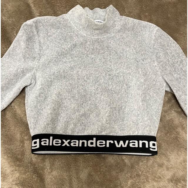 alexander wang