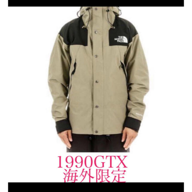 Lカラーノースフェイス 1990 mountain jacket GTX L