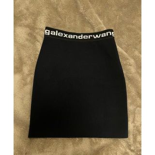 アレキサンダーワン(Alexander Wang)のalexander wangスカート(ひざ丈スカート)