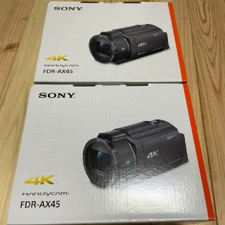 ソニー(SONY)の[新品送料無料] 2台　ソニー Handycam FDR-AX45(ビデオカメラ)