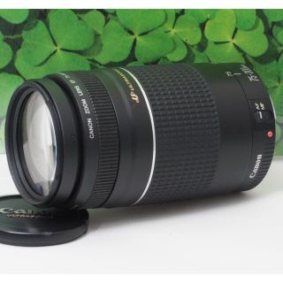 【美品】キャノンEF75-300mm超望遠ズーム⭐️スポーツ、イベントで大活躍