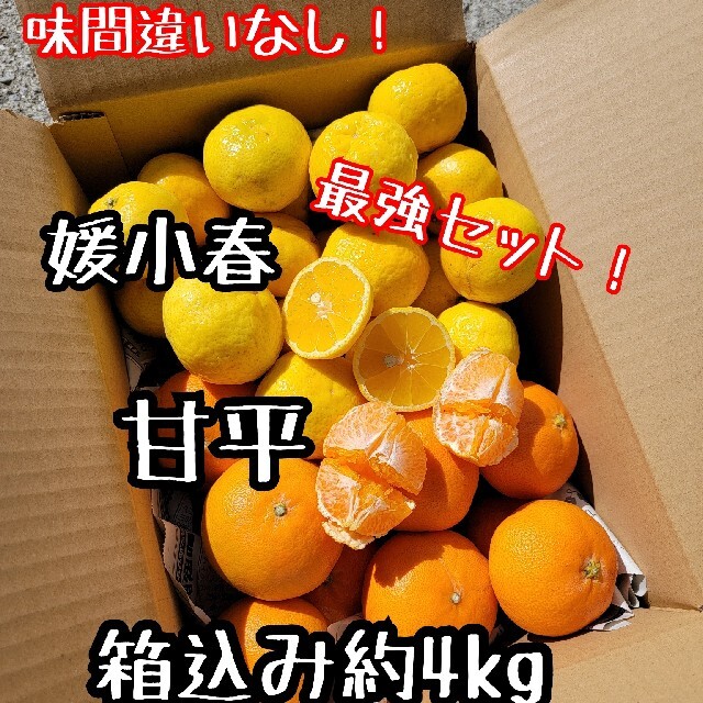 愛媛県産　甘平　媛小春　少し訳あり　箱込み約4kg柑橘　ミカン 食品/飲料/酒の食品(フルーツ)の商品写真