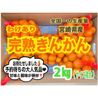 【限定❣️訳あり】露地きんかん2㎏/金柑　キンカン　みかん　国産レモン　果物(フルーツ)
